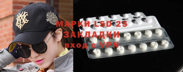 хмурый Алзамай