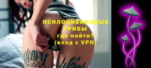 прущая мука Арсеньев