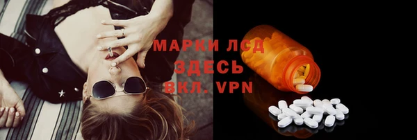 хмурый Алзамай