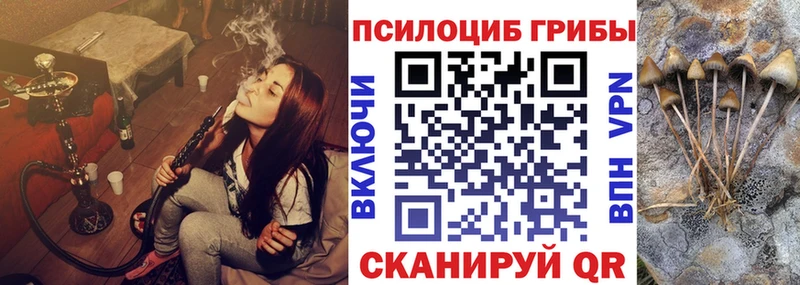 Псилоцибиновые грибы мицелий  Калининск 